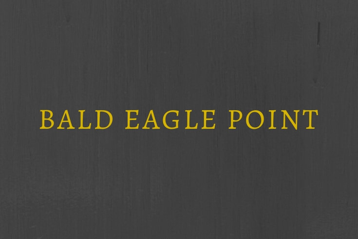 Bald Eagle Point Eagle Idaho
