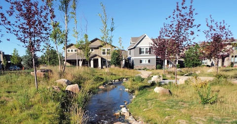 Dallis Harris Estates in Harris Ranch